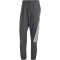 adidas Future Icons 3-Streifen Woven Jogginghose Herren 095A - black S/S