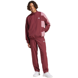 adidas Sportswear Colorblock Trainingsanzug Herren AEDQ - shared/precri M