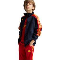 adidas Sportswear Tiro Nations Pack Trainingsjacke Kinder AA35 - legink/betsca/bogold 140