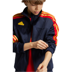adidas Sportswear Tiro Nations Pack Trainingsjacke Kinder AA35 - legink/betsca/bogold 176
