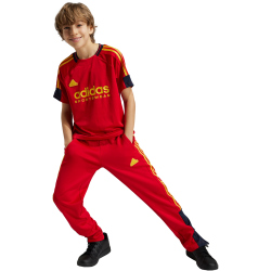 adidas Sportswear Tiro Nations Pack Trainingshose Kinder...