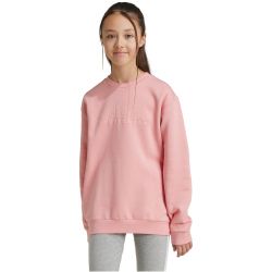 adidas Sportswear All SZN Graphic Sweatshirt Kinder AFAP - sepisp 152