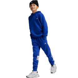adidas Sportswear Essentials Small Logo Feel Cozy Hoodie...
