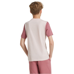 adidas Sportswear Essentials Big Logo Colorblock Cotton T-Shirt Kinder AFB1 - sanpin/precri/sepisp 164
