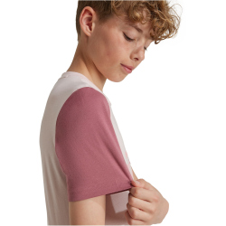 adidas Sportswear Essentials Big Logo Colorblock Cotton T-Shirt Kinder AFB1 - sanpin/precri/sepisp 164