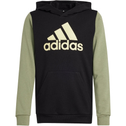 adidas Sportswear Essentials Big Logo Colorblock Hoodie Kinder 095A - black/tengrn/almyel 152