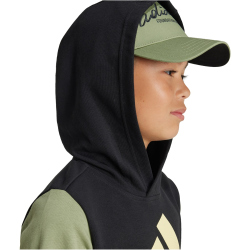 adidas Sportswear Essentials Big Logo Colorblock Hoodie Kinder 095A - black/tengrn/almyel 152
