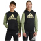 adidas Sportswear Essentials Big Logo Colorblock Hoodie Kinder 095A - black/tengrn/almyel 152