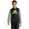 adidas Sportswear Essentials Big Logo Colorblock Hoodie Kinder 095A - black/tengrn/almyel 152