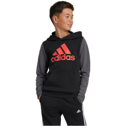 adidas Sportswear Essentials Big Logo Colorblock Hoodie Kinder 095A - black/gresix/brired 152