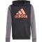 adidas Sportswear Essentials Big Logo Colorblock Hoodie Kinder 095A - black/gresix/brired 152