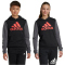 adidas Sportswear Essentials Big Logo Colorblock Hoodie Kinder 095A - black/gresix/brired 152