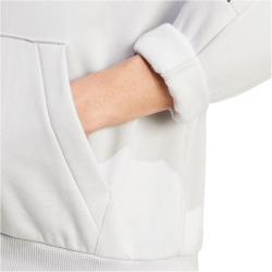 adidas Sportswear House of Tiro Hoodie Herren AA2S - gretwo/black M