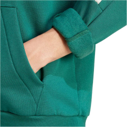 adidas Sportswear House of Tiro Hoodie Herren 024A - cgreen/alumin M