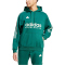 adidas Sportswear House of Tiro Hoodie Herren 024A - cgreen/alumin M