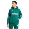 adidas Sportswear House of Tiro Hoodie Herren 024A - cgreen/alumin XL