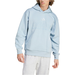 adidas Sportswear All SZN Graphic Hoodie Herren AEWP -...