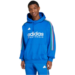 adidas Sportswear House of Tiro Nations Pack Hoodie Herren 040A - blue/green/white/red L