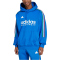 adidas Sportswear House of Tiro Nations Pack Hoodie Herren 040A - blue/green/white/red XL