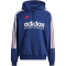 adidas Sportswear House of Tiro Nations Pack Hoodie Herren AEQ1 - tenabl/white/betsca L