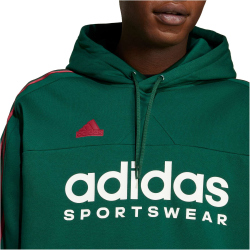 adidas Sportswear House of Tiro Nations Pack Hoodie Herren A0QE - drkgrn/cburgu/clowhi M