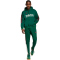 adidas Sportswear House of Tiro Nations Pack Hoodie Herren A0QE - drkgrn/cburgu/clowhi L