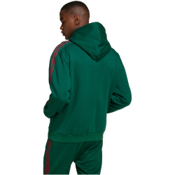 adidas Sportswear House of Tiro Nations Pack Hoodie Herren A0QE - drkgrn/cburgu/clowhi XL