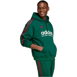 adidas Sportswear House of Tiro Nations Pack Hoodie Herren A0QE - drkgrn/cburgu/clowhi XL
