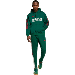 adidas Sportswear House of Tiro Nations Pack Hoodie Herren A0QE - drkgrn/cburgu/clowhi XL