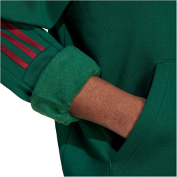 adidas Sportswear House of Tiro Nations Pack Hoodie Herren A0QE - drkgrn/cburgu/clowhi XL