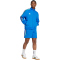 adidas Sportswear House of Tiro Nations Pack Sweatshorts Herren 040A - blue/green/white/red XS