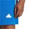 adidas Sportswear House of Tiro Nations Pack Sweatshorts Herren 040A - blue/green/white/red XS