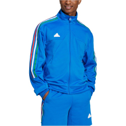 adidas Sportswear House of Tiro Nations Pack Trainingsjacke Herren 040A - blue/green/white/red M