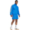 adidas Sportswear House of Tiro Nations Pack Trainingsjacke Herren 040A - blue/green/white/red M