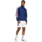 adidas Sportswear House of Tiro Nations Pack Trainingsjacke Herren AEQ1 - tenabl/white/betsca L