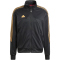 adidas Sportswear House of Tiro Nations Pack Trainingsjacke Herren 095A - black/tmvire/sttan XS