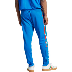adidas Sportswear House of Tiro Nations Pack Jogginghose Herren 040A - blue/red/white/green XXL