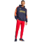 adidas Sportswear House of Tiro Nations Pack Jogginghose Herren AETG - betsca/legink/bogold M