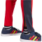 adidas Sportswear House of Tiro Nations Pack Jogginghose Herren AETG - betsca/legink/bogold M