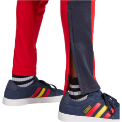 adidas Sportswear House of Tiro Nations Pack Jogginghose Herren AETG - betsca/legink/bogold XL