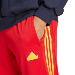 adidas Sportswear House of Tiro Nations Pack Jogginghose Herren AETG - betsca/legink/bogold XL