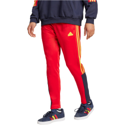 adidas Sportswear House of Tiro Nations Pack Jogginghose Herren AETG - betsca/legink/bogold XL