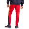 adidas Sportswear House of Tiro Nations Pack Jogginghose Herren AETG - betsca/legink/bogold XL