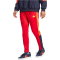 adidas Sportswear House of Tiro Nations Pack Jogginghose Herren AETG - betsca/legink/bogold XL