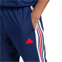 adidas Sportswear House of Tiro Nations Pack Jogginghose Herren AEQ1 - tenabl/white/betsca S