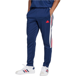 adidas Sportswear House of Tiro Nations Pack Jogginghose Herren AEQ1 - tenabl/white/betsca S