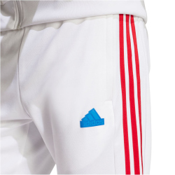 adidas Sportswear House of Tiro Nations Pack Jogginghose Herren 001A - white/betsca/trublu XXL