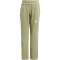 adidas Sportswear Essentials Allover Print Jogginganzug Kinder A98F - tengrn/clabro/white 116