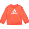 adidas Badge of Sport French Terry Jogginghose Kinder A0TB - brired/white 86