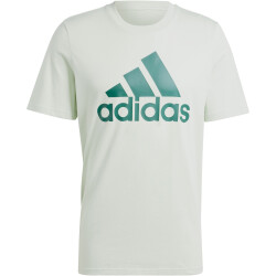 adidas Essentials Big Logo Freizeitshirt Herren AEJS -...